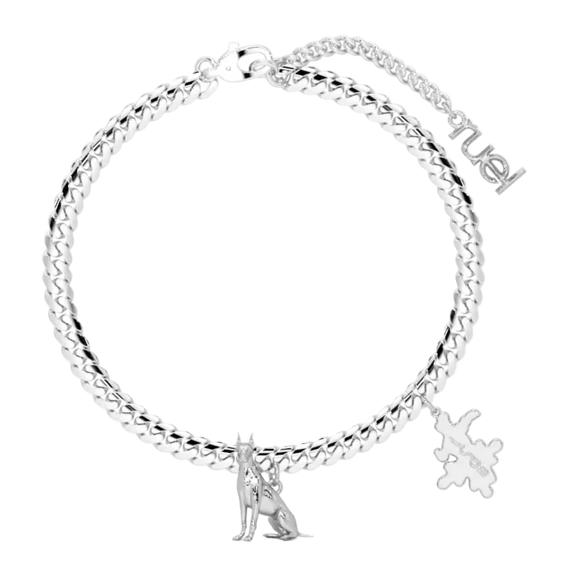 Bracelet and Charm